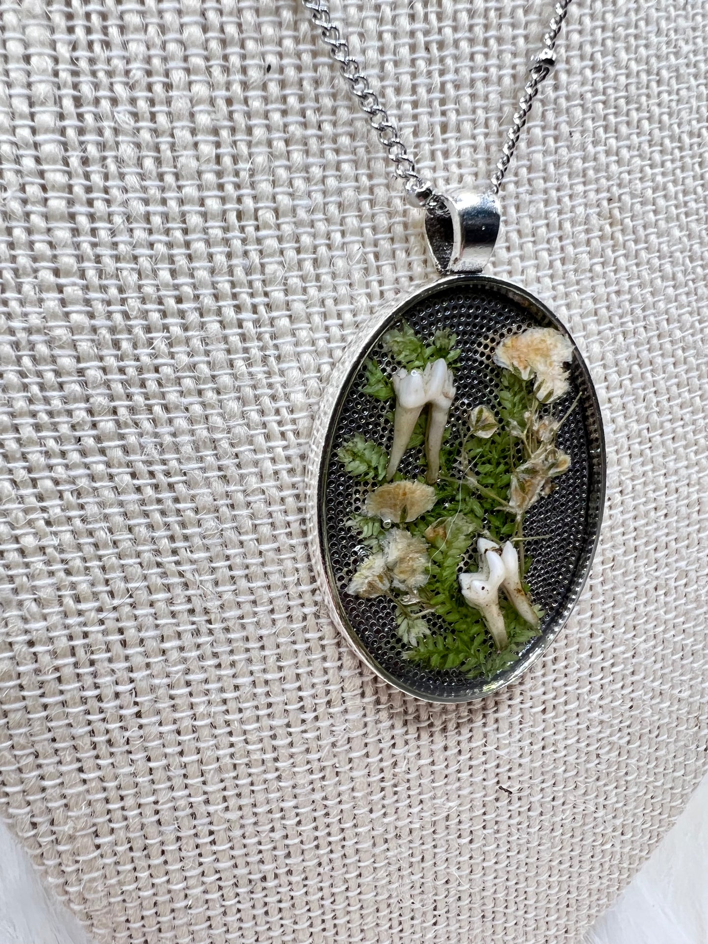 “Echo” Raccoon Teeth Necklace