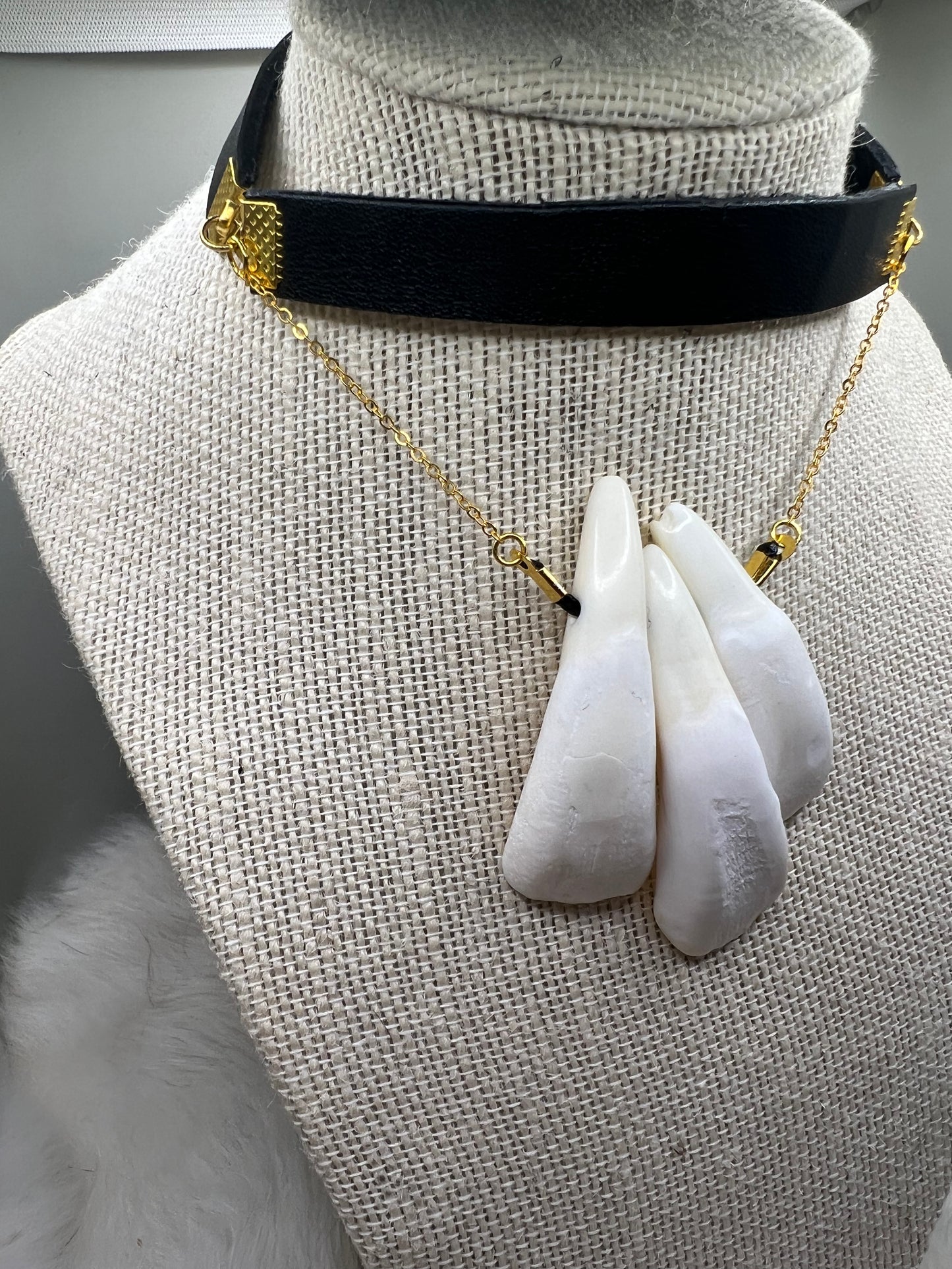 Buffalo Tooth Choker