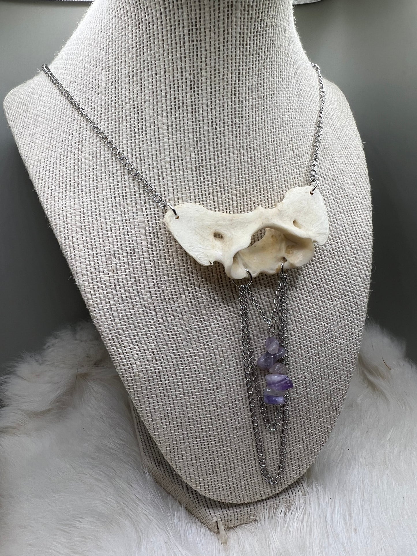 Coyote Atlas Bone Necklace - Silver + Amethyst