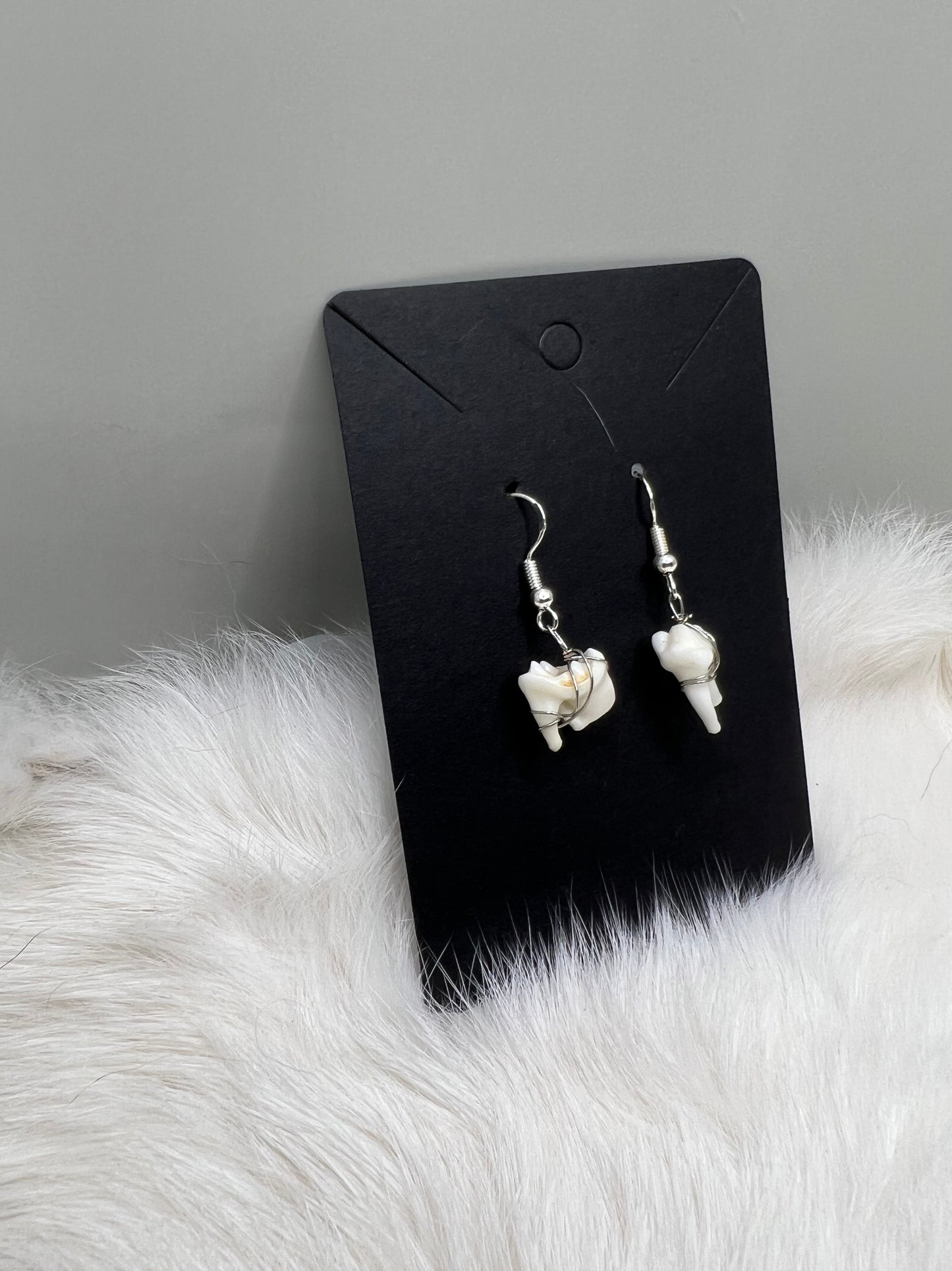 Raccoon Tooth Earrings - Silver V2