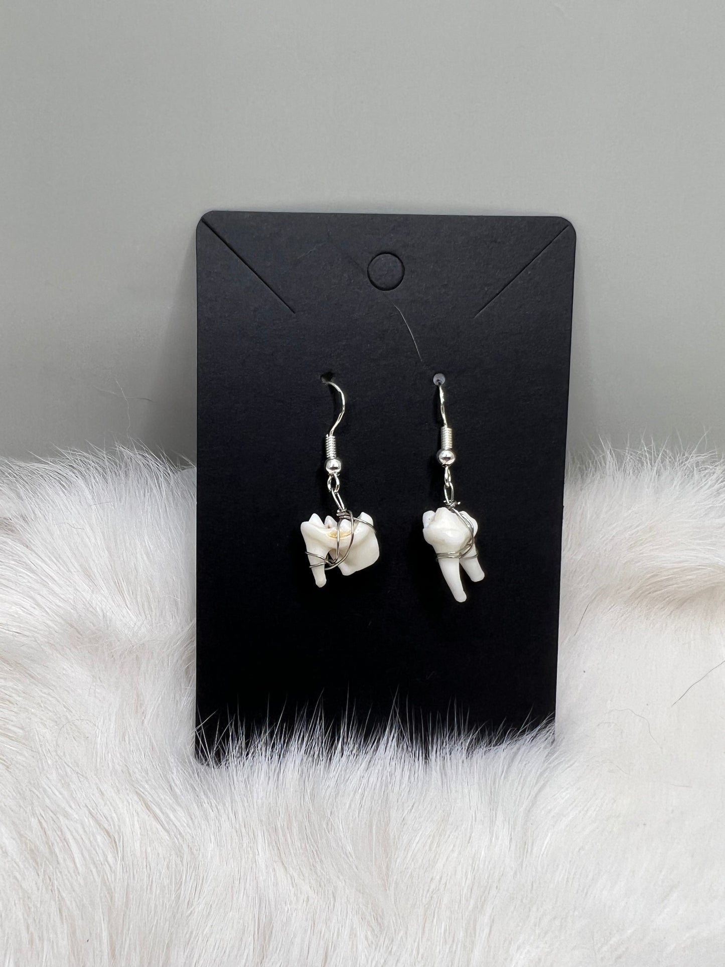 Raccoon Tooth Earrings - Silver V2